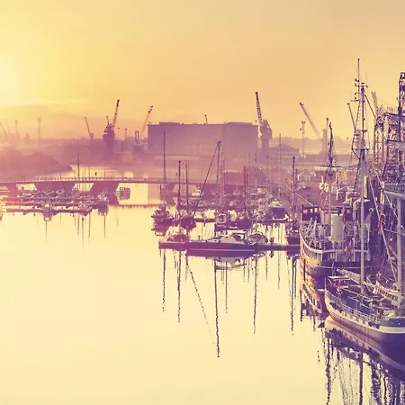 Sedinum שצ'צ'ין